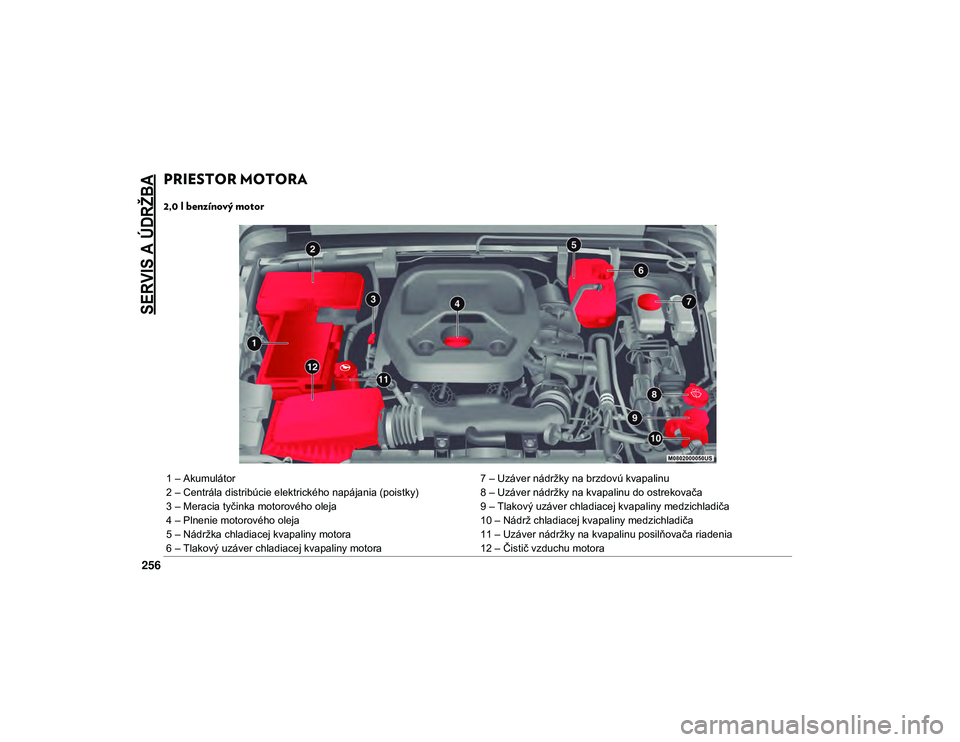 JEEP WRANGLER 2DOORS 2020 Návod na použitie a údržbu (in Slovakian)
SERVIS A ÚDRŽBA
256
PRIESTOR MOTORA
2,0 l benzínový motor
1 – Akumulátor7 – Uzáver nádržky na brzdovú kvapalinu
2 – Centrála distribúcie elektrického napájania (poistky) 8 – JEEP WRANGLER 2DOORS 2020 Návod na použitie a údržbu (in Slovakian)
SERVIS A ÚDRŽBA
256
PRIESTOR MOTORA
2,0 l benzínový motor
1 – Akumulátor7 – Uzáver nádržky na brzdovú kvapalinu
2 – Centrála distribúcie elektrického napájania (poistky) 8 –