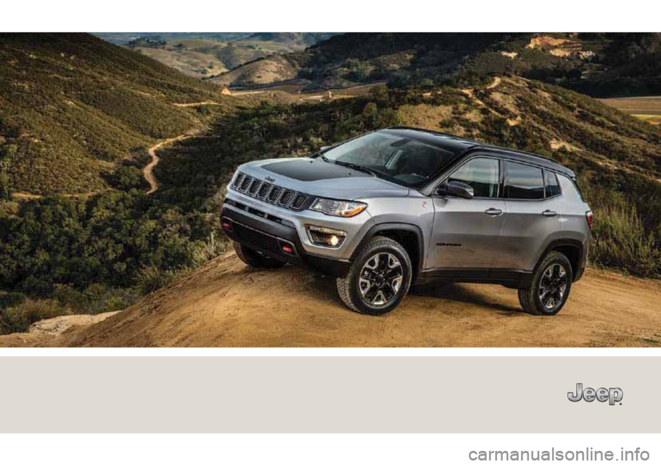 JEEP COMPASS 2019  Owner handbook (in English) 