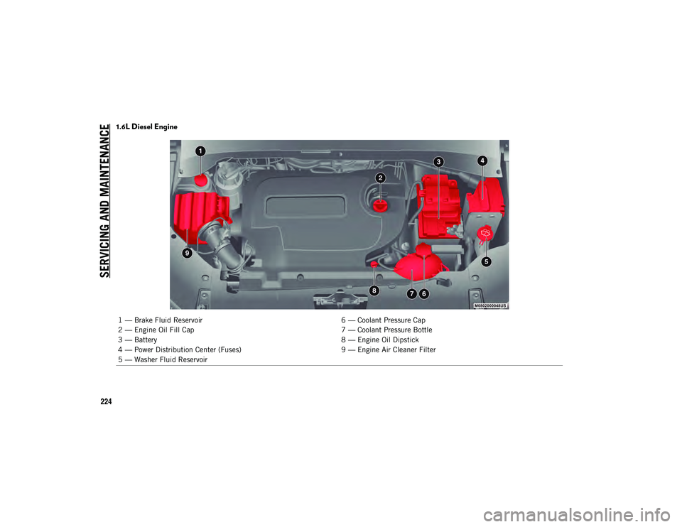 JEEP COMPASS 2021 Owner handbook (in English) SERVICING AND MAINTENANCE
224
1.6L Diesel Engine
1 — Brake Fluid Reservoir6 — Coolant Pressure Cap
2 — Engine Oil Fill Cap 7 — Coolant Pressure Bottle
3 — Battery 8 — Engine Oil Dipstick
4 JEEP COMPASS 2021 Owner handbook (in English) SERVICING AND MAINTENANCE
224
1.6L Diesel Engine
1 — Brake Fluid Reservoir6 — Coolant Pressure Cap
2 — Engine Oil Fill Cap 7 — Coolant Pressure Bottle
3 — Battery 8 — Engine Oil Dipstick
4