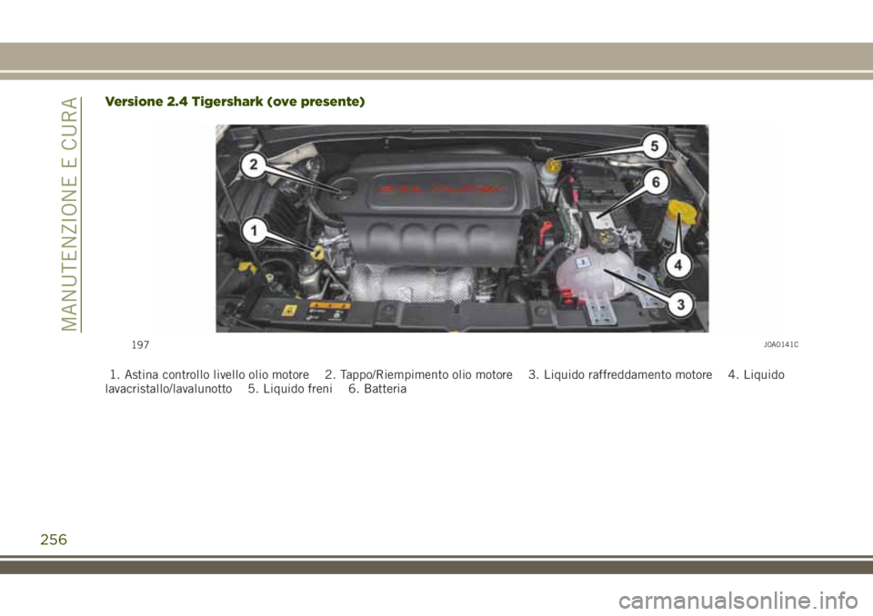 JEEP RENEGADE 2018  Libretto Uso Manutenzione (in Italian) Versione 2.4 Tigershark (ove presente)
1. Astina controllo livello olio motore 2. Tappo/Riempimento olio motore 3. Liquido raffreddamento motore 4. Liquido
lavacristallo/lavalunotto 5. Liquido freni 6