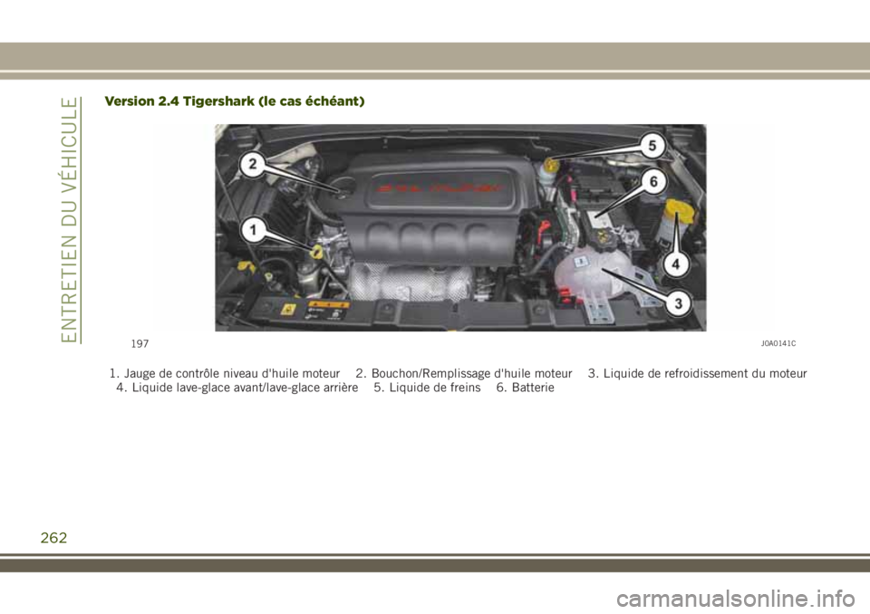JEEP RENEGADE 2018  Notice dentretien (in French) Version 2.4 Tigershark (le cas échéant)
1. Jauge de contrôle niveau d'huile moteur 2. Bouchon/Remplissage d'huile moteur 3. Liquide de refroidissement du moteur
4. Liquide lave-glace avant/
