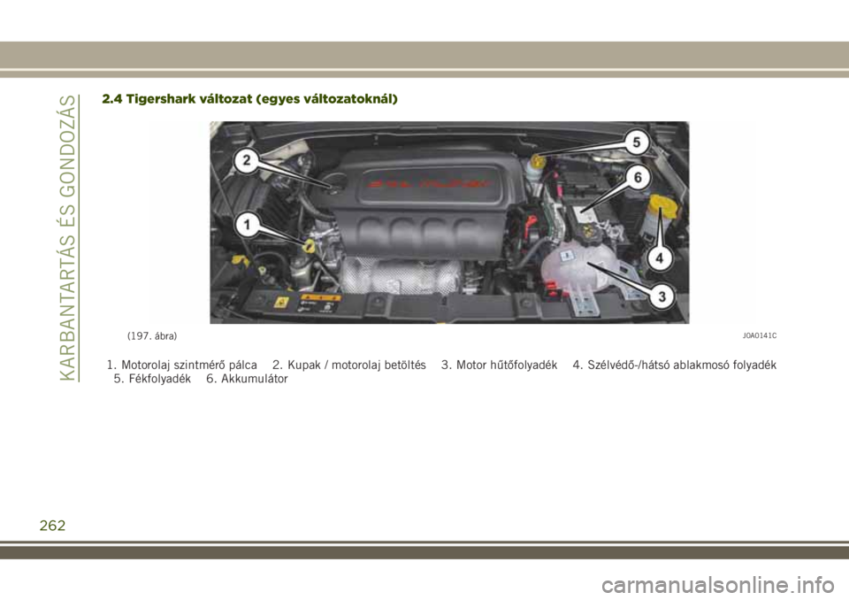 JEEP RENEGADE 2018 Kezelési és karbantartási útmutató (in Hungarian) 2.4 Tigershark változat (egyes változatoknál)
1. Motorolaj szintmérő pálca 2. Kupak / motorolaj betöltés 3. Motor hűtőfolyadék 4. Szélvédő-/hátsó ablakmosó folyadék
5. Fékfolyadék JEEP RENEGADE 2018 Kezelési és karbantartási útmutató (in Hungarian) 2.4 Tigershark változat (egyes változatoknál)
1. Motorolaj szintmérő pálca 2. Kupak / motorolaj betöltés 3. Motor hűtőfolyadék 4. Szélvédő-/hátsó ablakmosó folyadék
5. Fékfolyadék