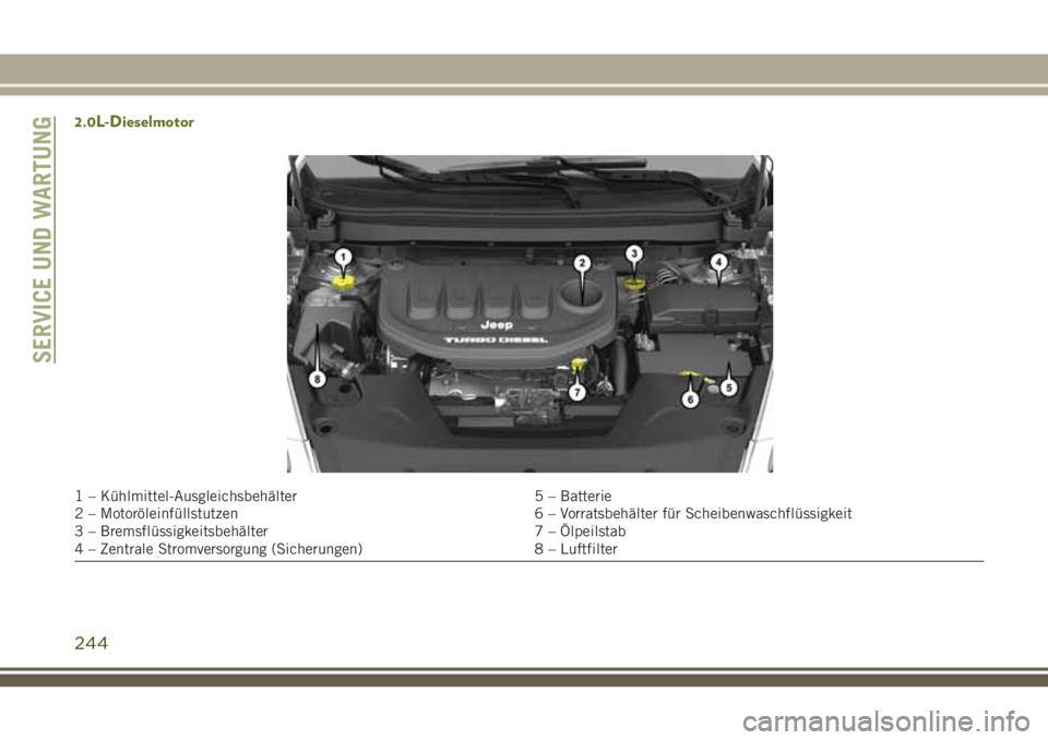 JEEP CHEROKEE 2018 Betriebsanleitung (in German) 2.0L-Dieselmotor
1 – Kühlmittel-Ausgleichsbehälter5 – Batterie
2 – Motoröleinfüllstutzen 6 – Vorratsbehälter für Scheibenwaschflüssigkeit
3 – Bremsflüssigkeitsbehälter 7 – Ölpeil JEEP CHEROKEE 2018 Betriebsanleitung (in German) 2.0L-Dieselmotor
1 – Kühlmittel-Ausgleichsbehälter5 – Batterie
2 – Motoröleinfüllstutzen 6 – Vorratsbehälter für Scheibenwaschflüssigkeit
3 – Bremsflüssigkeitsbehälter 7 – Ölpeil