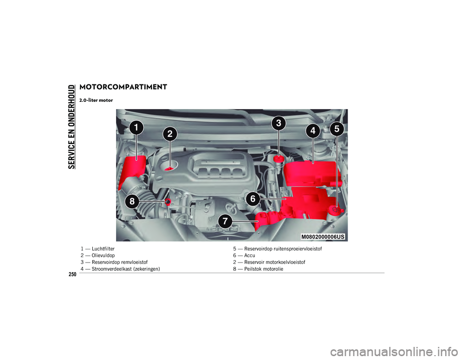 JEEP CHEROKEE 2021 Instructieboek (in Dutch) SERVICE EN ONDERHOUD
250
MOTORCOMPARTIMENT
2.0-liter motor
1 — Luchtfilter5 — Reservoirdop ruitensproeiervloeistof
2 — Olievuldop 6 — Accu
3 — Reservoirdop remvloeistof 2 — Reservoir mo JEEP CHEROKEE 2021 Instructieboek (in Dutch) SERVICE EN ONDERHOUD
250
MOTORCOMPARTIMENT
2.0-liter motor
1 — Luchtfilter5 — Reservoirdop ruitensproeiervloeistof
2 — Olievuldop 6 — Accu
3 — Reservoirdop remvloeistof 2 — Reservoir mo