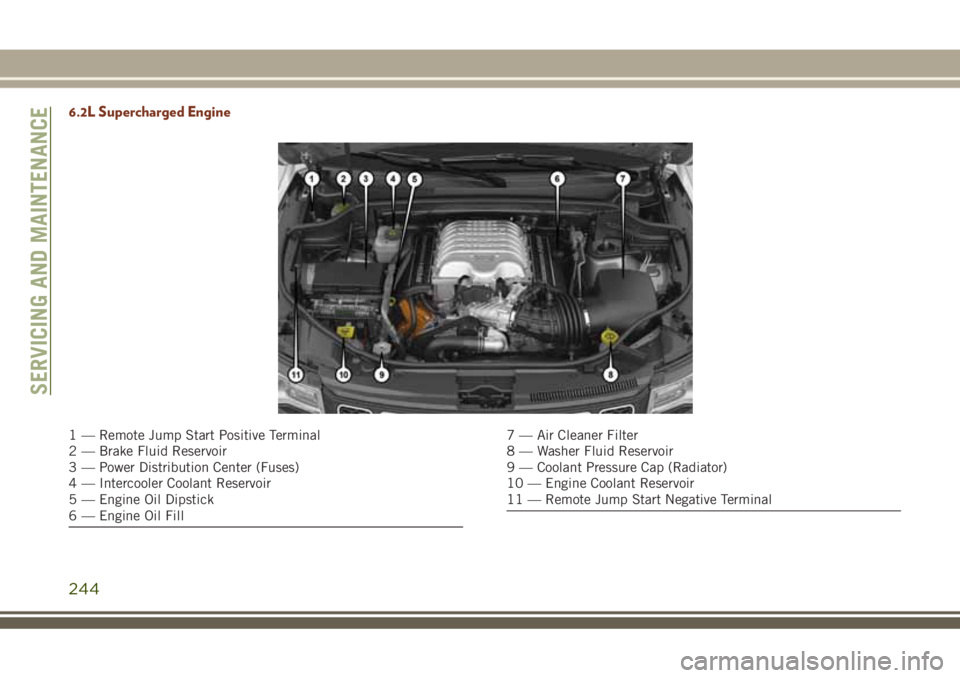 JEEP GRAND CHEROKEE 2018 Owner handbook (in English) 6.2L Supercharged Engine
1 — Remote Jump Start Positive Terminal
2 — Brake Fluid Reservoir
3 — Power Distribution Center (Fuses)
4 — Intercooler Coolant Reservoir
5 — Engine Oil Dipstick
6 JEEP GRAND CHEROKEE 2018 Owner handbook (in English) 6.2L Supercharged Engine
1 — Remote Jump Start Positive Terminal
2 — Brake Fluid Reservoir
3 — Power Distribution Center (Fuses)
4 — Intercooler Coolant Reservoir
5 — Engine Oil Dipstick
6