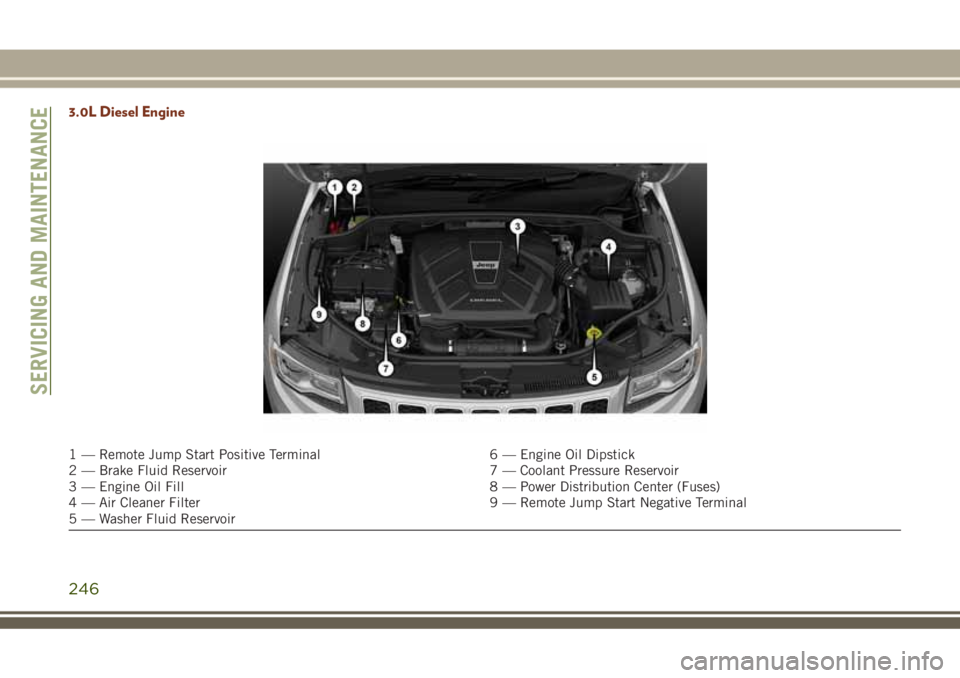 JEEP GRAND CHEROKEE 2018 Owner handbook (in English) 3.0L Diesel Engine
1 — Remote Jump Start Positive Terminal 6 — Engine Oil Dipstick
2 — Brake Fluid Reservoir 7 — Coolant Pressure Reservoir
3 — Engine Oil Fill 8 — Power Distribution Cente JEEP GRAND CHEROKEE 2018 Owner handbook (in English) 3.0L Diesel Engine
1 — Remote Jump Start Positive Terminal 6 — Engine Oil Dipstick
2 — Brake Fluid Reservoir 7 — Coolant Pressure Reservoir
3 — Engine Oil Fill 8 — Power Distribution Cente