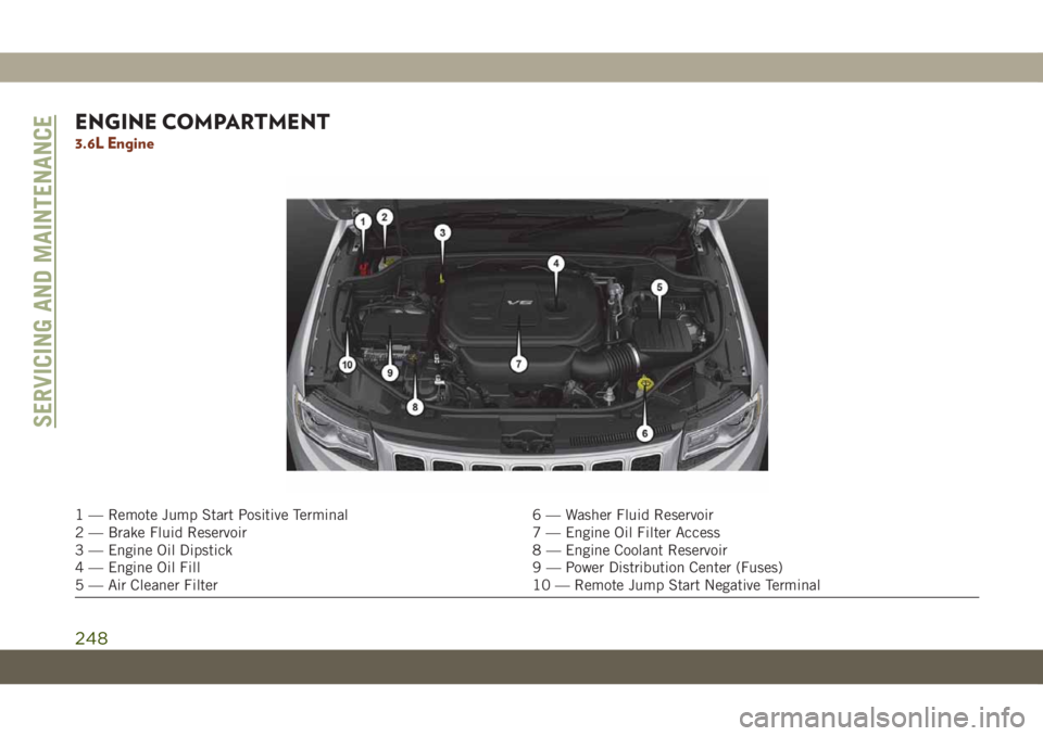 JEEP GRAND CHEROKEE 2020  Owner handbook (in English) ENGINE COMPARTMENT
3.6L Engine
1 — Remote Jump Start Positive Terminal 6 — Washer Fluid Reservoir
2 — Brake Fluid Reservoir 7 — Engine Oil Filter Access
3 — Engine Oil Dipstick 8 — Engine 