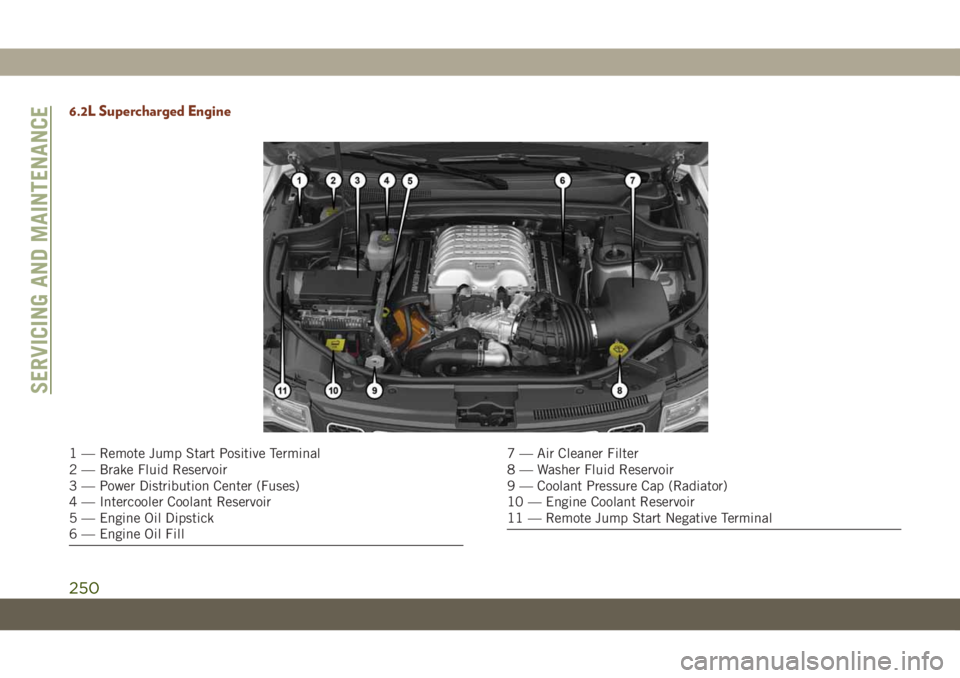 JEEP GRAND CHEROKEE 2019  Owner handbook (in English) 6.2L Supercharged Engine
1 — Remote Jump Start Positive Terminal
2 — Brake Fluid Reservoir
3 — Power Distribution Center (Fuses)
4 — Intercooler Coolant Reservoir
5 — Engine Oil Dipstick
6 �