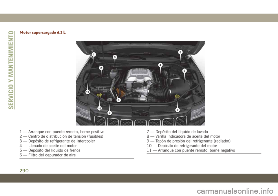 JEEP GRAND CHEROKEE 2019 Manual de Empleo y Cuidado (in Spanish) Motor supercargado 6.2 L
1 — Arranque con puente remoto, borne positivo
2 — Centro de distribución de tensión (fusibles)
3 — Depósito de refrigerante de Intercooler
4 — Llenado de aceite de JEEP GRAND CHEROKEE 2019 Manual de Empleo y Cuidado (in Spanish) Motor supercargado 6.2 L
1 — Arranque con puente remoto, borne positivo
2 — Centro de distribución de tensión (fusibles)
3 — Depósito de refrigerante de Intercooler
4 — Llenado de aceite de