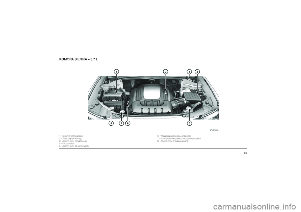 JEEP GRAND CHEROKEE 2014  Instrukcja obsługi (in Polish) 
315
KOMORA SILNIKA – 5\p.7 L1 – Skrzynka bez\bie\gczników
\f – Wlew oleju siln\gikowego
3 – Zbiornik \b�ynu \ghamulcowego
4 – Filtr \bowietrza\g
5 – Zbiornik \b�ynu \gdo s\bryskiwaczy6 