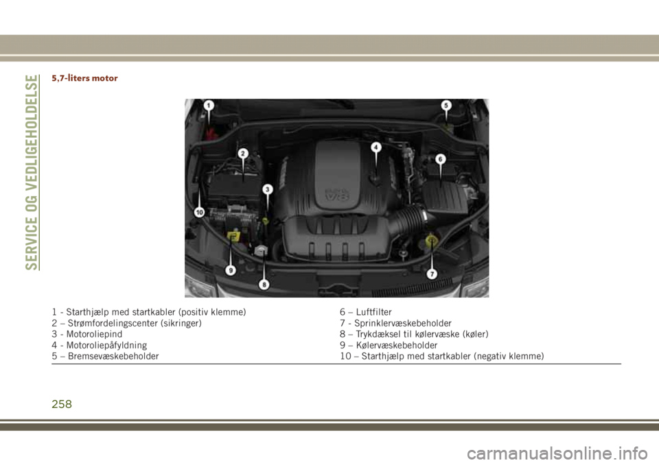 JEEP GRAND CHEROKEE 2017 Brugs- og vedligeholdelsesvejledning (in Danish) 5,7-liters motor
1 - Starthjælp med startkabler (positiv klemme) 6 – Luftfilter
2 – Strømfordelingscenter (sikringer) 7 - Sprinklervæskebeholder
3 - Motoroliepind 8 – Trykdæksel til kølervà JEEP GRAND CHEROKEE 2017 Brugs- og vedligeholdelsesvejledning (in Danish) 5,7-liters motor
1 - Starthjælp med startkabler (positiv klemme) 6 – Luftfilter
2 – Strømfordelingscenter (sikringer) 7 - Sprinklervæskebeholder
3 - Motoroliepind 8 – Trykdæksel til kølervÃ