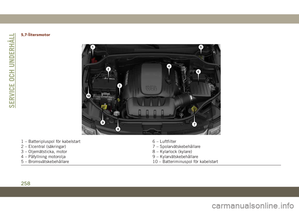 JEEP GRAND CHEROKEE 2019 Drift- och underhållshandbok (in Swedish) 5,7-litersmotor
1 – Batteripluspol för kabelstart 6 – Luftfilter
2 – Elcentral (säkringar) 7 – Spolarvätskebehållare
3 – Oljemätsticka, motor 8 – Kylarlock (kylare)
4 – Påfyllning JEEP GRAND CHEROKEE 2019 Drift- och underhållshandbok (in Swedish) 5,7-litersmotor
1 – Batteripluspol för kabelstart 6 – Luftfilter
2 – Elcentral (säkringar) 7 – Spolarvätskebehållare
3 – Oljemätsticka, motor 8 – Kylarlock (kylare)
4 – Påfyllning