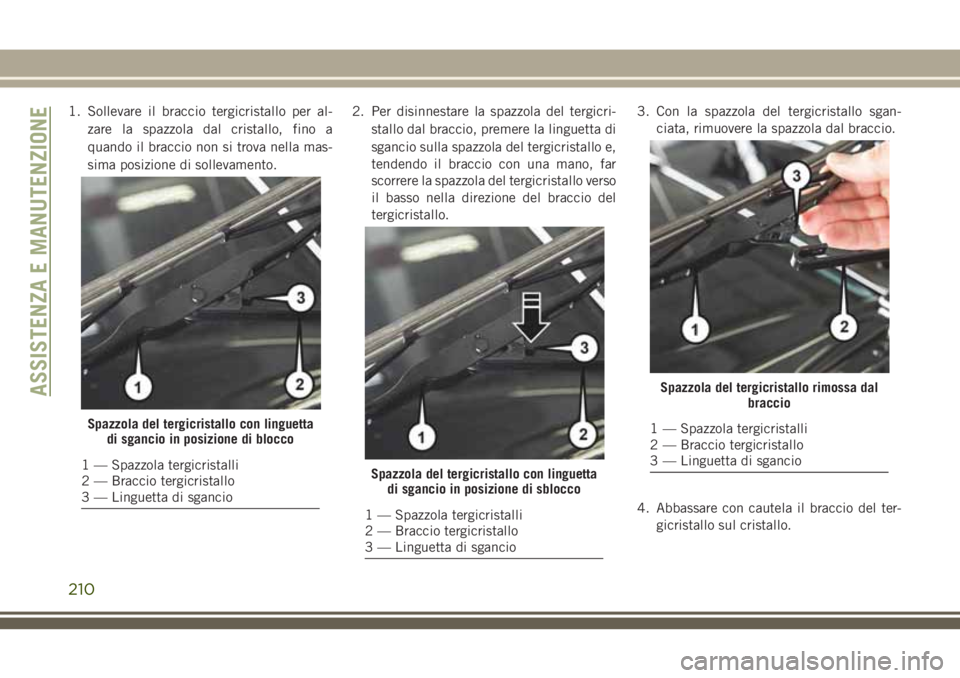JEEP WRANGLER 2021  Libretto Uso Manutenzione (in Italian) 1. Sollevare il braccio tergicristallo per al-
zare la spazzola dal cristallo, fino a
quando il braccio non si trova nella mas-
sima posizione di sollevamento.2. Per disinnestare la spazzola del tergi
