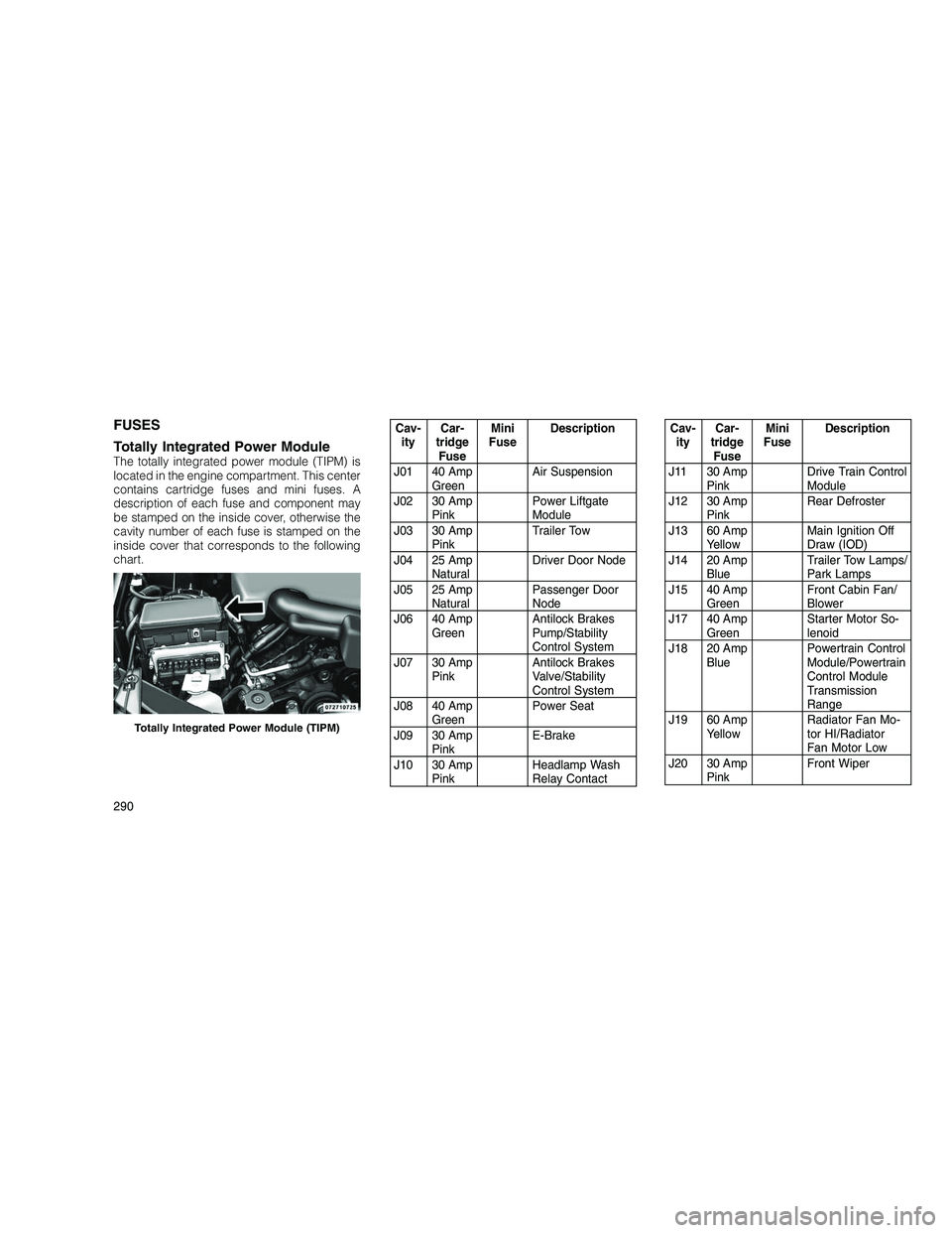 JEEP GRAND CHEROKEE 2010  Owner handbook (in English) 
FUSES
Totally Integrated Power Module
The totally integrated power module (TIPM) is
located in the engine compartment. This center
contains cartridge fuses and mini fuses. A
description of each fuse 