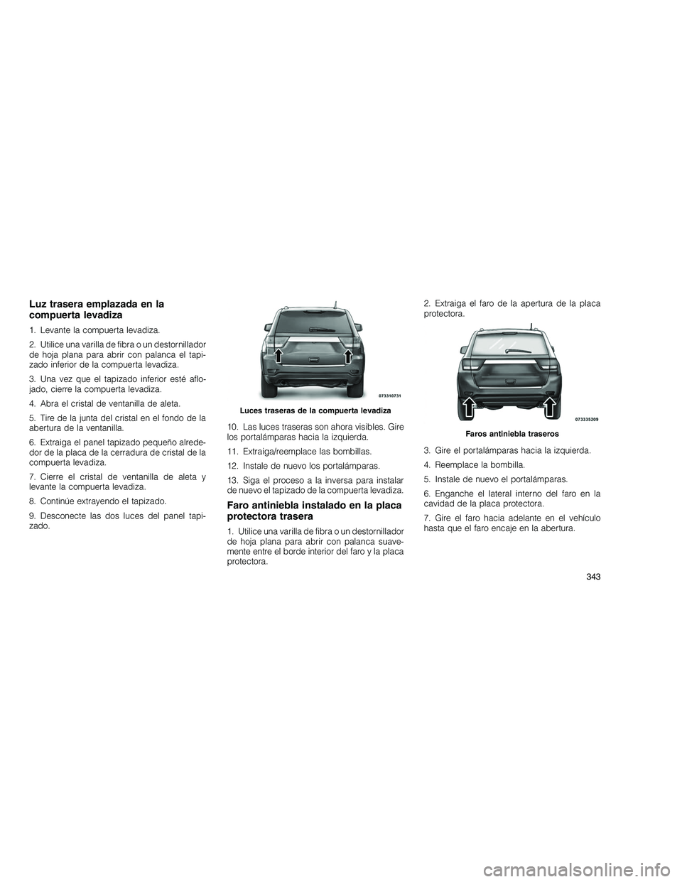 JEEP GRAND CHEROKEE 2010  Manual de Empleo y Cuidado (in Spanish) 
Luz trasera emplazada en la
compuerta levadiza
1. Levante la compuerta levadiza.
2. Utilice una varilla de fibra o un destornillador
de hoja plana para abrir con palanca el tapi-
zado inferior de la 