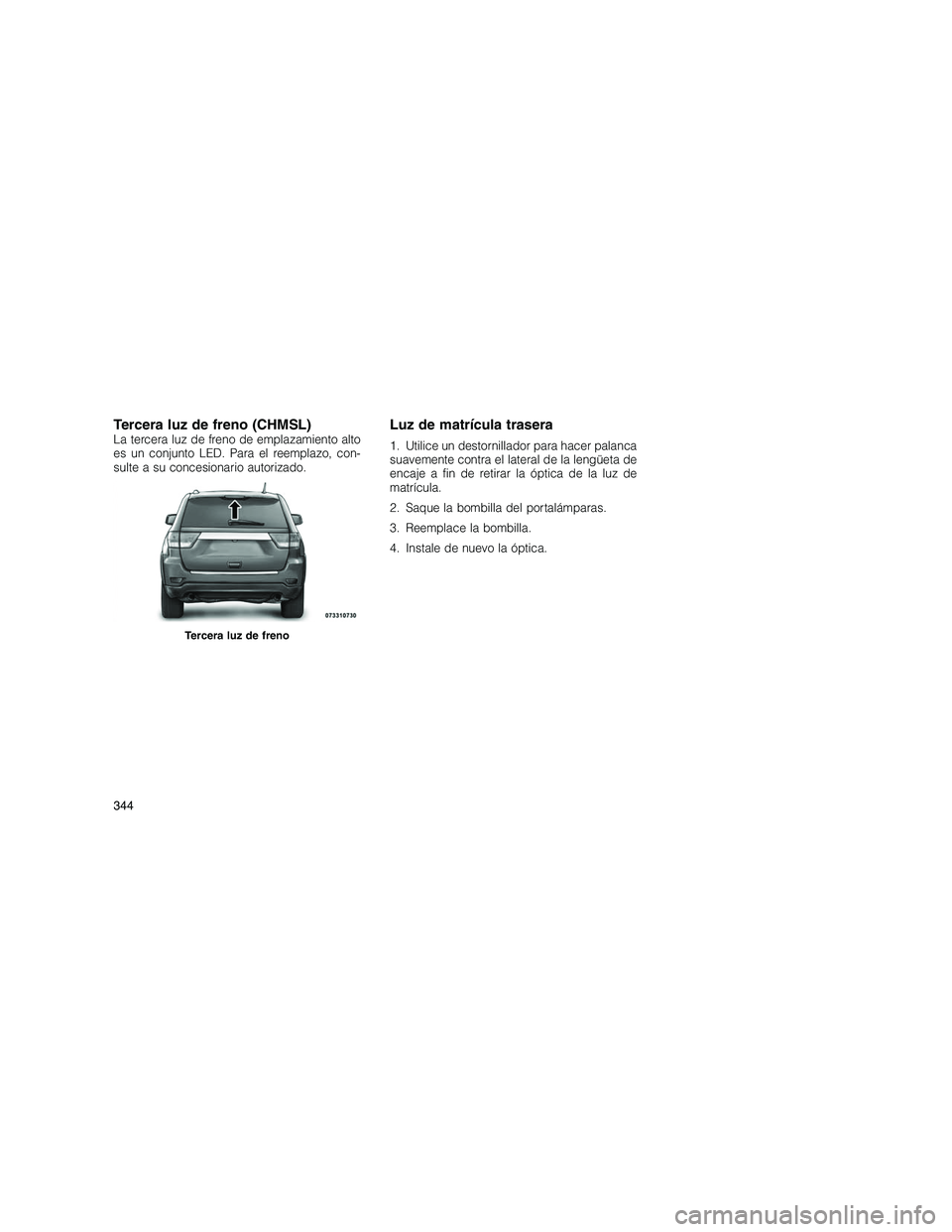 JEEP GRAND CHEROKEE 2010  Manual de Empleo y Cuidado (in Spanish) 
Tercera luz de freno (CHMSL)La tercera luz de freno de emplazamiento alto
es un conjunto LED. Para el reemplazo, con-
sulte a su concesionario autorizado.Luz de matrícula trasera
1. Utilice un desto