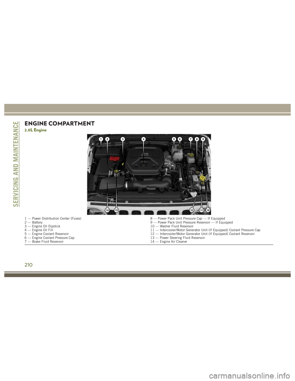 JEEP WRANGLER RUBICON 2017 Owners Manual 1 — Power Distribution Center (Fuses)8 — Power Pack Unit Pressure Cap — If Equipped
2 — Battery 9 — Power Pack Unit Pressure Reservoir — If Equipped
3 — Engine Oil Dipstick 10 — Washer JEEP WRANGLER RUBICON 2017 Owners Manual 1 — Power Distribution Center (Fuses)8 — Power Pack Unit Pressure Cap — If Equipped
2 — Battery 9 — Power Pack Unit Pressure Reservoir — If Equipped
3 — Engine Oil Dipstick 10 — Washer