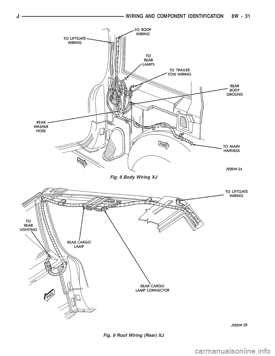 JEEP WRANGLER 1994  Owners Manual Fig. 9 Roof Wiring (Rear) XJ
JWIRING AND COMPONENT IDENTIFICATION 8W - 31 