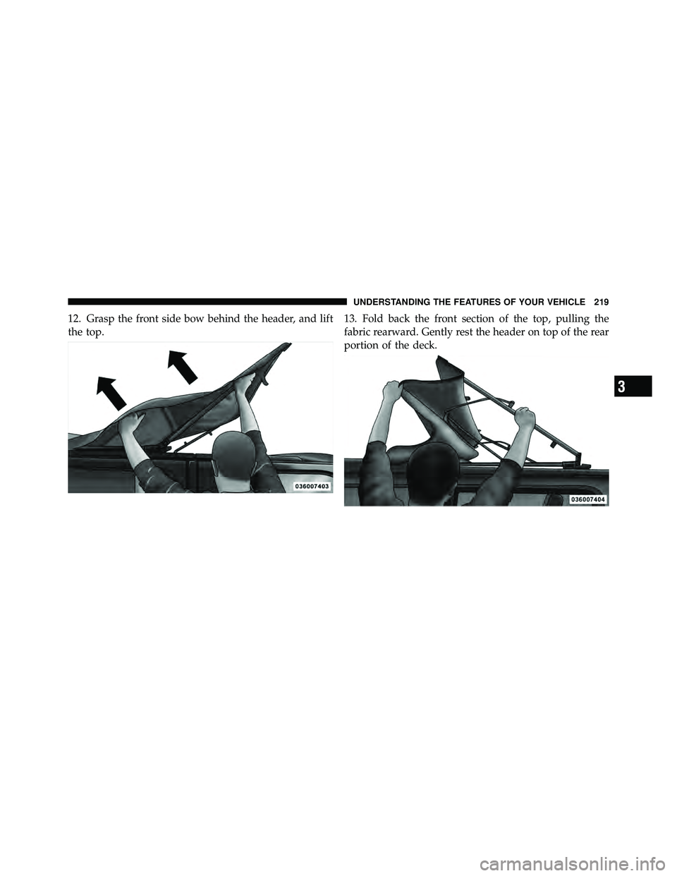 JEEP WRANGLER 2010  Owners Manual 3
UNDERSTANDING THE FEATURES OF YOUR VEHICLE 219 