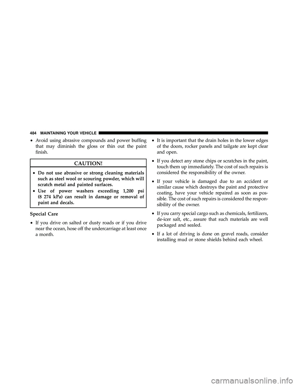 JEEP WRANGLER 2010  Owners Manual •Avoid using abrasive compounds and power buffing
that may diminish the gloss or thin out the paint
finish. 