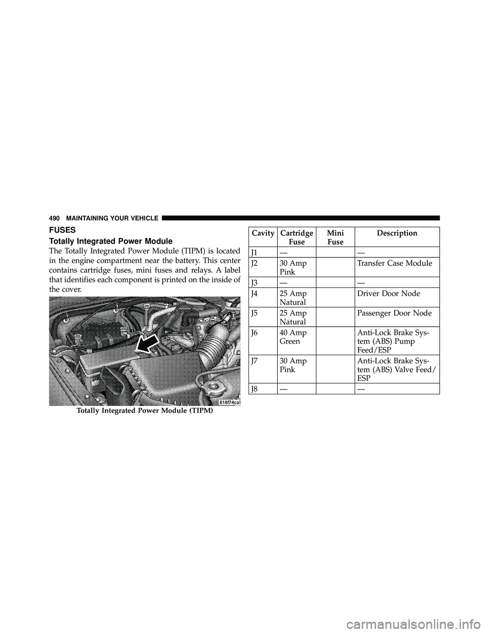 JEEP WRANGLER 2010 Owners Manual FUSES
Totally Integrated Power Module
The Totally Integrated Power Module (TIPM) is located
in the engine compartment near the battery. This center
contains cartridge fuses, mini fuses and relays. A l JEEP WRANGLER 2010 Owners Manual FUSES
Totally Integrated Power Module
The Totally Integrated Power Module (TIPM) is located
in the engine compartment near the battery. This center
contains cartridge fuses, mini fuses and relays. A l