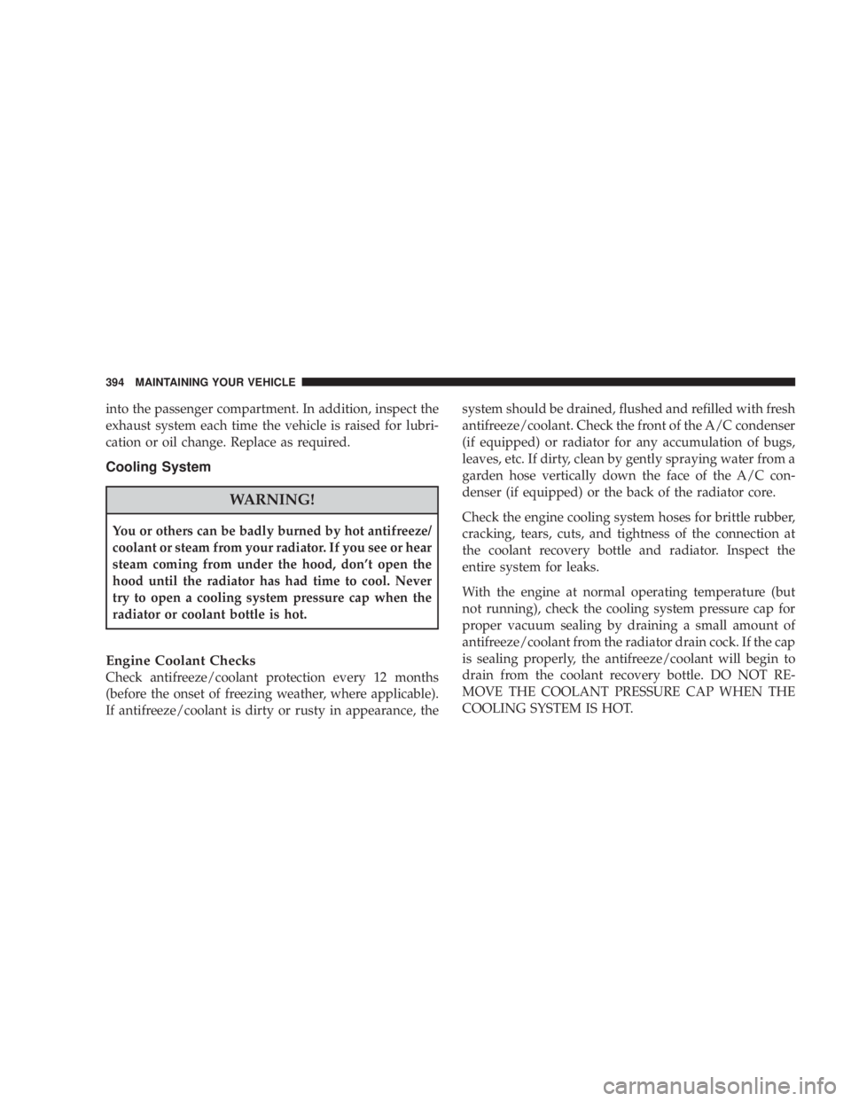 JEEP WRANGLER 2008  Owners Manual into the passenger compartment. In addition, inspect the
exhaust system each time the vehicle is raised for lubri-
cation or oil change. Replace as required.
Cooling System 