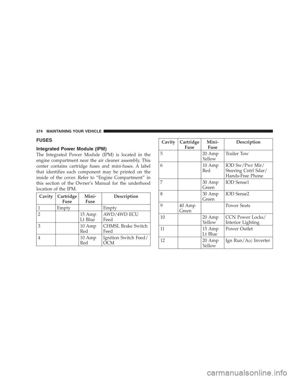 JEEP COMPASS 2009 1.G Owners Manual FUSES
Integrated Power Module (IPM)
The Integrated Power Module (IPM) is located in the
engine compartment near the air cleaner assembly. This
center contains cartridge fuses and mini-fuses. A label
t