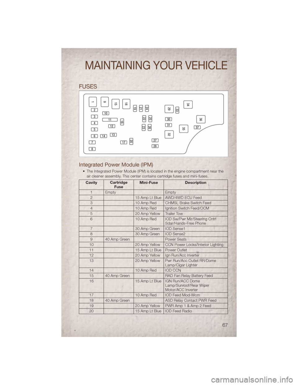 JEEP COMPASS 2011 1.G User Guide FUSES
Integrated Power Module (IPM)
• The Integrated Power Module (IPM) is located in the engine compartment near theair cleaner assembly. This center contains cartridge fuses and mini-fuses.
Cavity