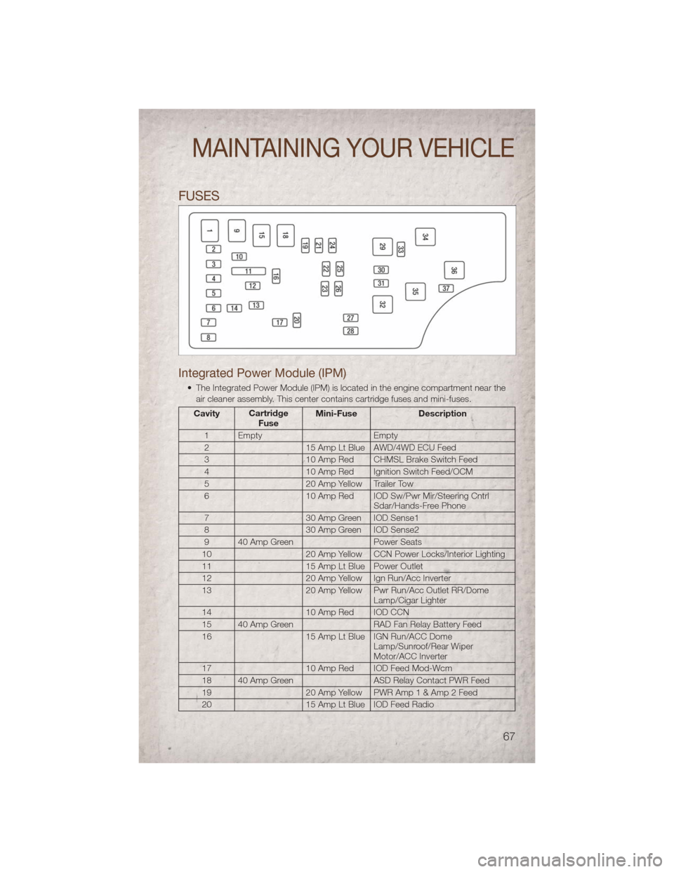 JEEP COMPASS 2011 1.G User Guide FUSES
Integrated Power Module (IPM)
• The Integrated Power Module (IPM) is located in the engine compartment near theair cleaner assembly. This center contains cartridge fuses and mini-fuses.
Cavity JEEP COMPASS 2011 1.G User Guide FUSES
Integrated Power Module (IPM)
• The Integrated Power Module (IPM) is located in the engine compartment near theair cleaner assembly. This center contains cartridge fuses and mini-fuses.
Cavity