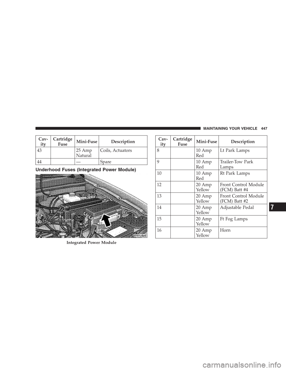 JEEP GRAND CHEROKEE 2009 WK / 3.G Owners Manual Cav-
ityCartridge
FuseMini-Fuse Description
43 25 Amp
NaturalCoils, Actuators
44 — Spare
Underhood Fuses (Integrated Power Module)
Cav-
ityCartridge
FuseMini-Fuse Description
8 10 Amp
RedLt Park Lam