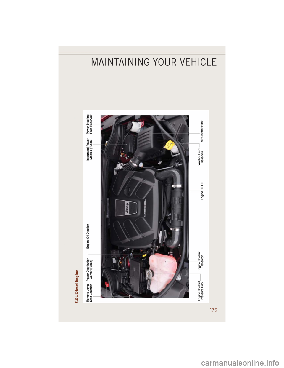 JEEP GRAND CHEROKEE 2014 WK2 / 4.G User Guide 3.0L Diesel Engine
MAINTAINING YOUR VEHICLE
175 