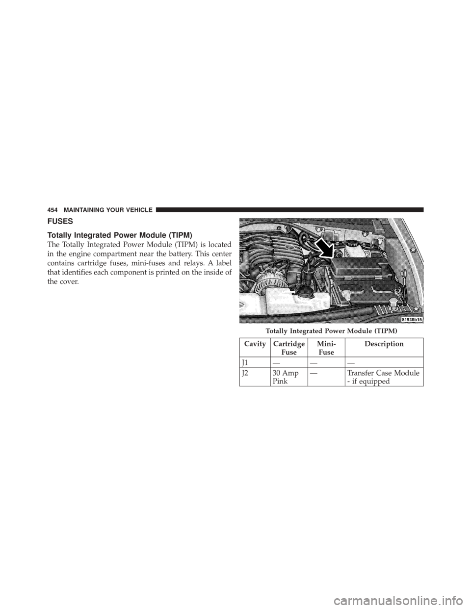 JEEP LIBERTY 2010 KK / 2.G Owners Manual FUSES
Totally Integrated Power Module (TIPM)
The Totally Integrated Power Module (TIPM) is located
in the engine compartment near the battery. This center
contains cartridge fuses, mini-fuses and rela