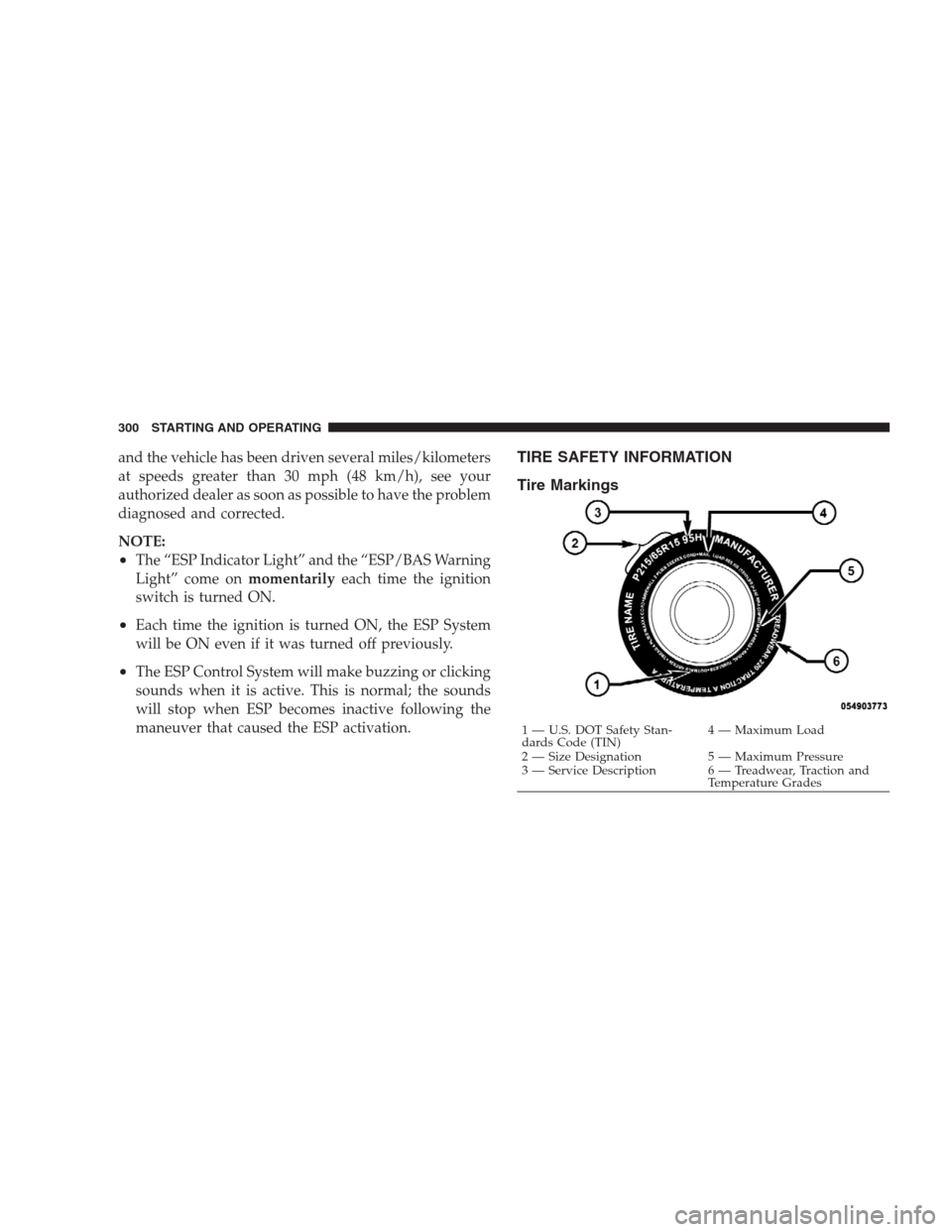 JEEP PATRIOT 2009 1.G Owners Manual and the vehicle has been driven several miles/kilometers
at speeds greater than 30 mph (48 km/h), see your
authorized dealer as soon as possible to have the problem
diagnosed and corrected.
NOTE:
•T