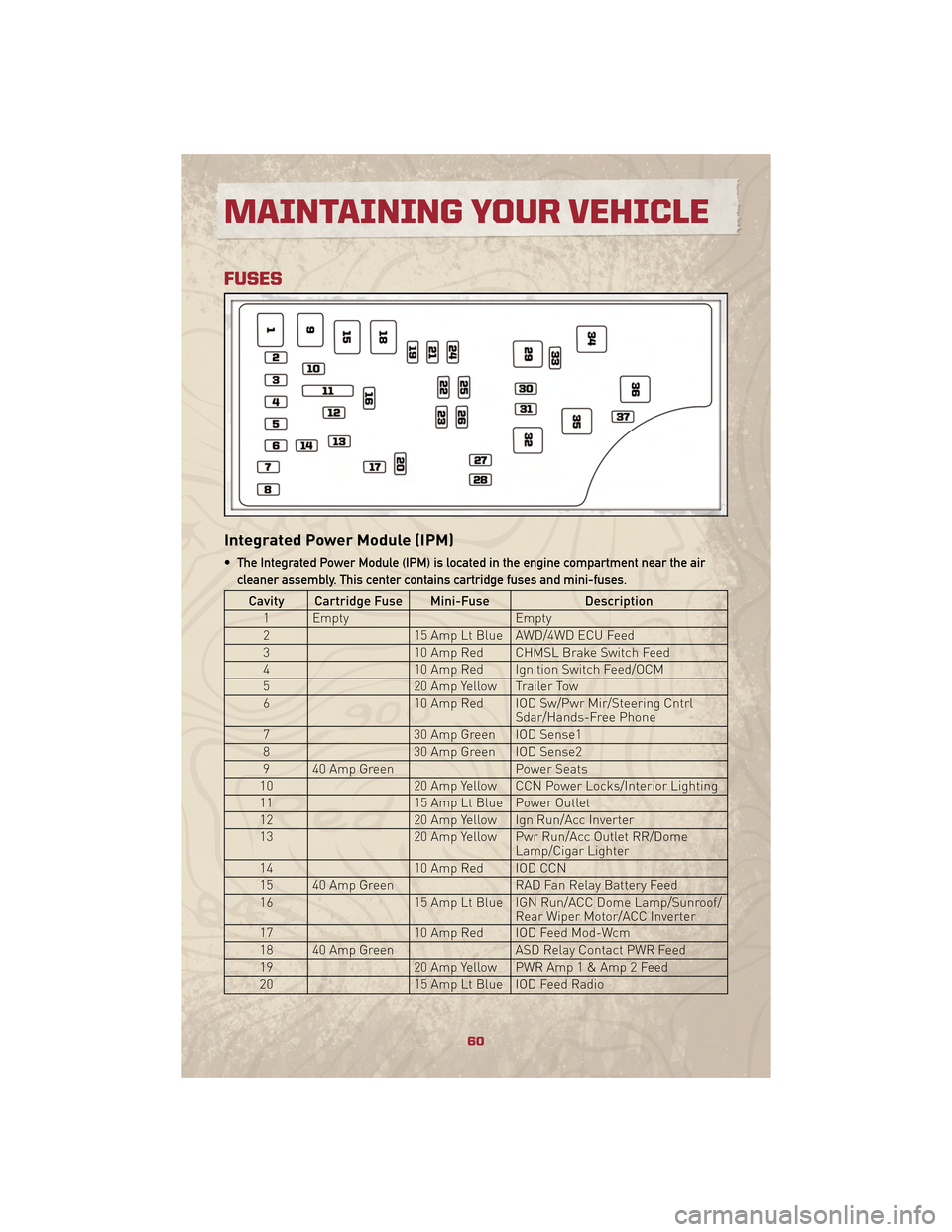 JEEP PATRIOT 2010 1.G User Guide FUSES
Integrated Power Module (IPM)
• The Integrated Power Module (IPM) is located in the engine compartment near the aircleaner assembly. This center contains cartridge fuses and mini-fuses.
Cavity JEEP PATRIOT 2010 1.G User Guide FUSES
Integrated Power Module (IPM)
• The Integrated Power Module (IPM) is located in the engine compartment near the aircleaner assembly. This center contains cartridge fuses and mini-fuses.
Cavity