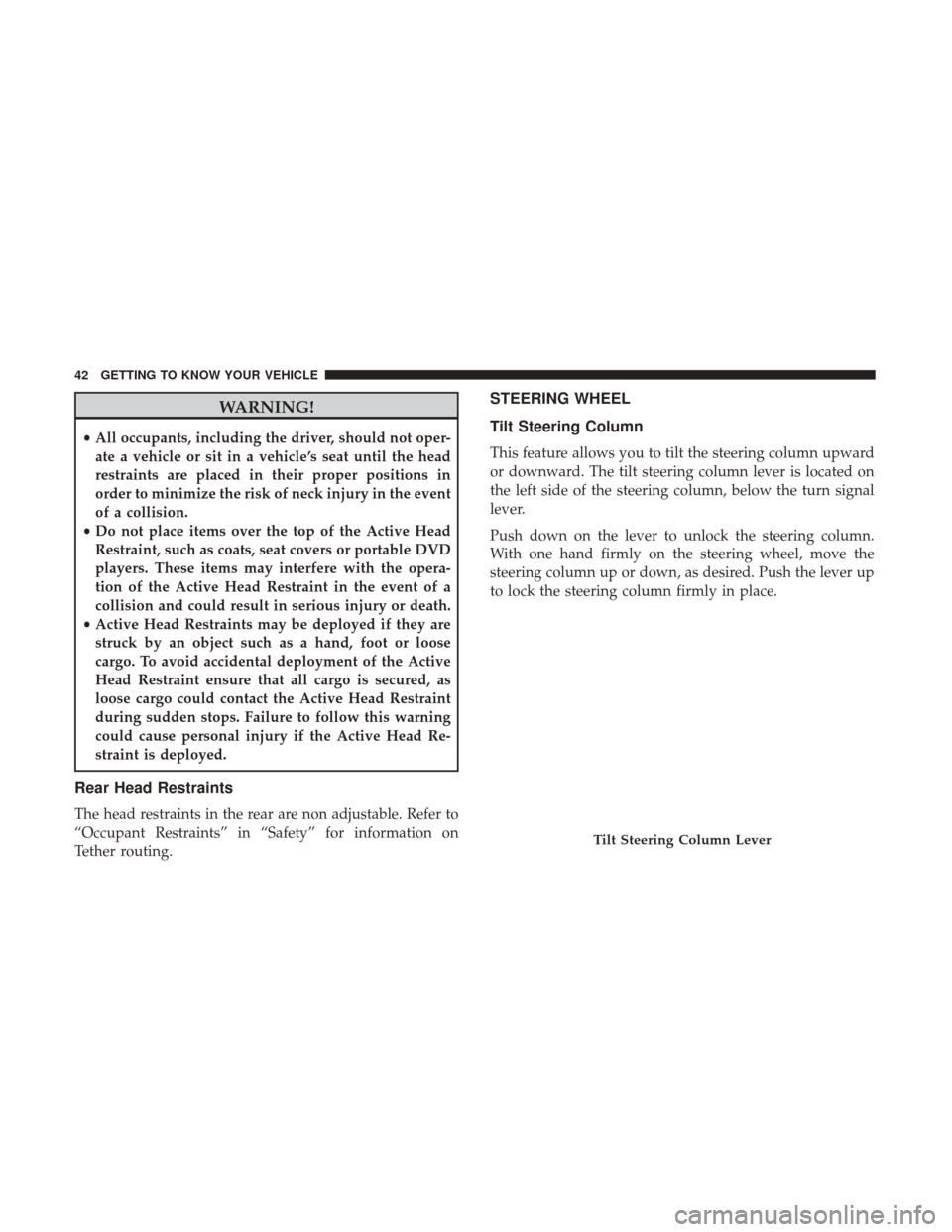 JEEP PATRIOT 2017 1.G Service Manual WARNING!
•All occupants, including the driver, should not oper-
ate a vehicle or sit in a vehicle’s seat until the head
restraints are placed in their proper positions in
order to minimize the ris