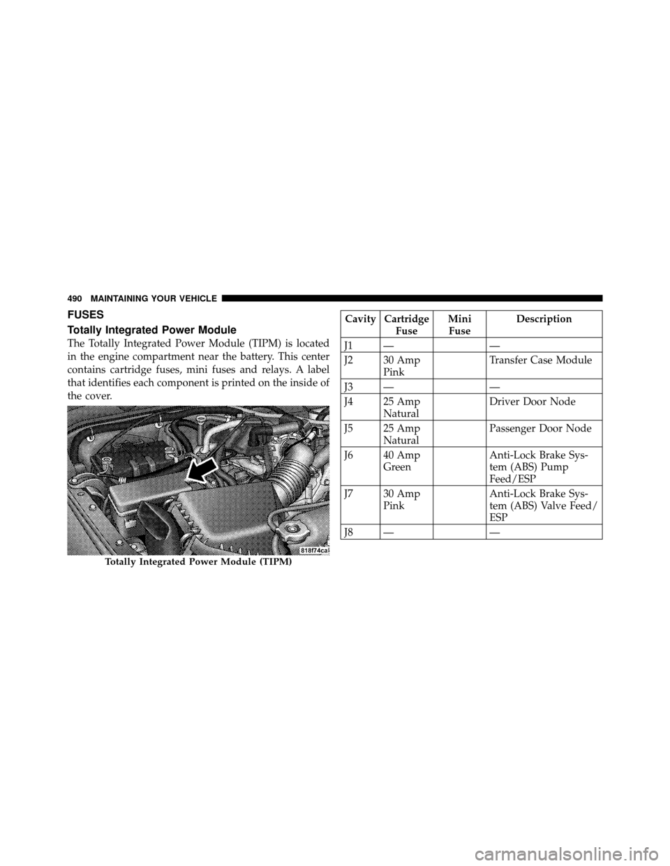 JEEP WRANGLER 2010 JK / 3.G Owners Manual FUSES
Totally Integrated Power Module
The Totally Integrated Power Module (TIPM) is located
in the engine compartment near the battery. This center
contains cartridge fuses, mini fuses and relays. A l