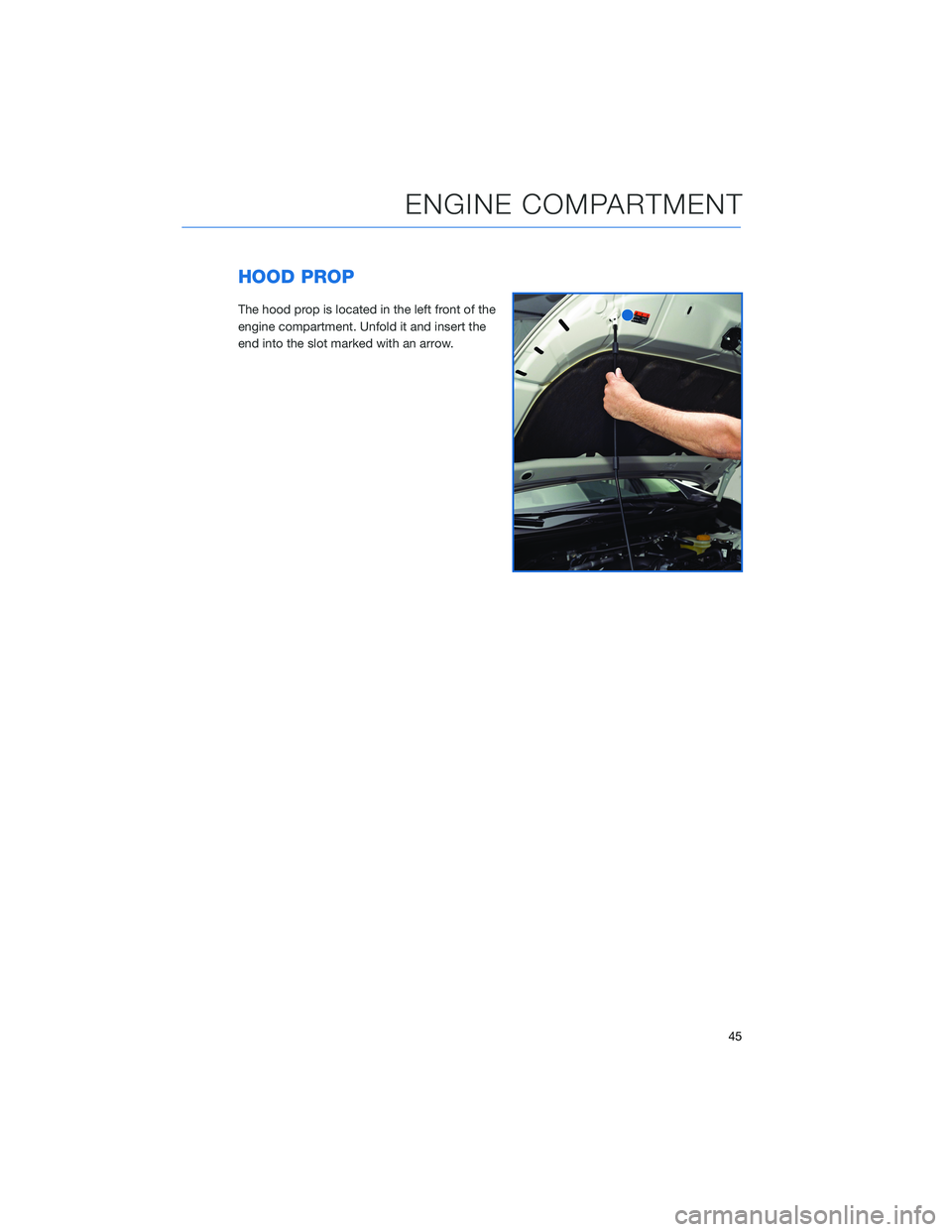 SUBARU IMPREZA 2022 Getting Started Guide HOOD PROP
The hood prop is located in the left front of the
engine compartment. Unfold it and insert the
end into the slot marked with an arrow.
ENGINE COMPARTMENT
45 SUBARU IMPREZA 2022 Getting Started Guide HOOD PROP
The hood prop is located in the left front of the
engine compartment. Unfold it and insert the
end into the slot marked with an arrow.
ENGINE COMPARTMENT
45