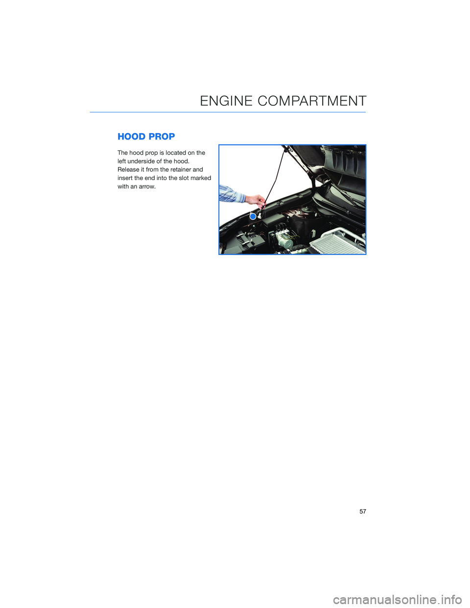 SUBARU OUTBACK 2021  Getting Started Guide HOOD PROP
The hood prop is located on the
left underside of the hood.
Release it from the retainer and
insert the end into the slot marked
with an arrow.
ENGINE COMPARTMENT
57 