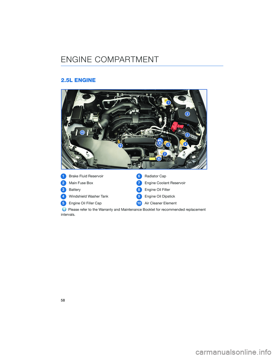 SUBARU OUTBACK 2021 Getting Started Guide 2.5L ENGINE
1Brake Fluid Reservoir
2Main Fuse Box
3Battery
4Windshield Washer Tank
5Engine Oil Filler Cap6Radiator Cap
7Engine Coolant Reservoir
8Engine Oil Filter
9Engine Oil Dipstick
10Air Cleaner E SUBARU OUTBACK 2021 Getting Started Guide 2.5L ENGINE
1Brake Fluid Reservoir
2Main Fuse Box
3Battery
4Windshield Washer Tank
5Engine Oil Filler Cap6Radiator Cap
7Engine Coolant Reservoir
8Engine Oil Filter
9Engine Oil Dipstick
10Air Cleaner E