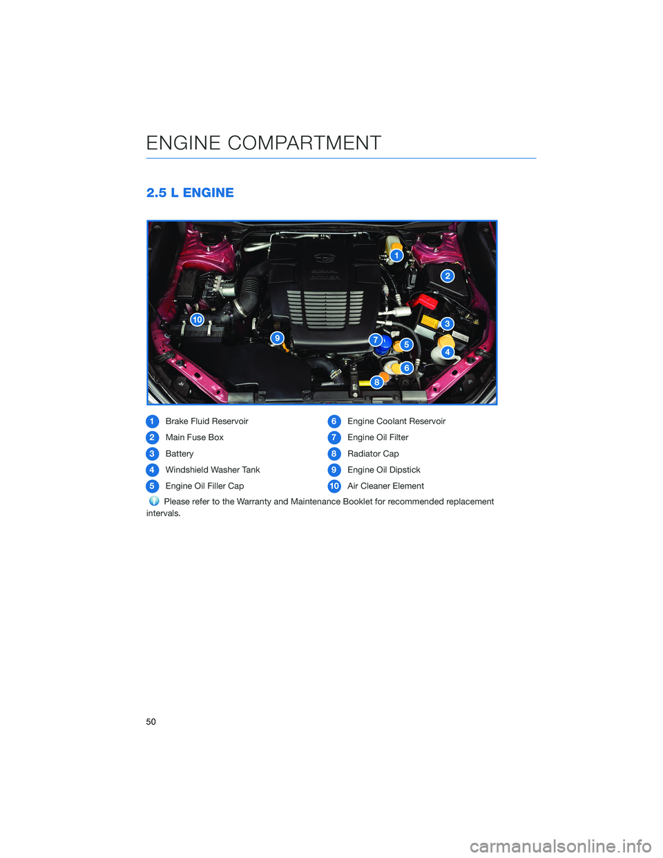SUBARU FORESTER 2021 Getting Started Guide 2.5 L ENGINE
1Brake Fluid Reservoir
2Main Fuse Box
3Battery
4Windshield Washer Tank
5Engine Oil Filler Cap6Engine Coolant Reservoir
7Engine Oil Filter
8Radiator Cap
9Engine Oil Dipstick
10Air Cleaner SUBARU FORESTER 2021 Getting Started Guide 2.5 L ENGINE
1Brake Fluid Reservoir
2Main Fuse Box
3Battery
4Windshield Washer Tank
5Engine Oil Filler Cap6Engine Coolant Reservoir
7Engine Oil Filter
8Radiator Cap
9Engine Oil Dipstick
10Air Cleaner