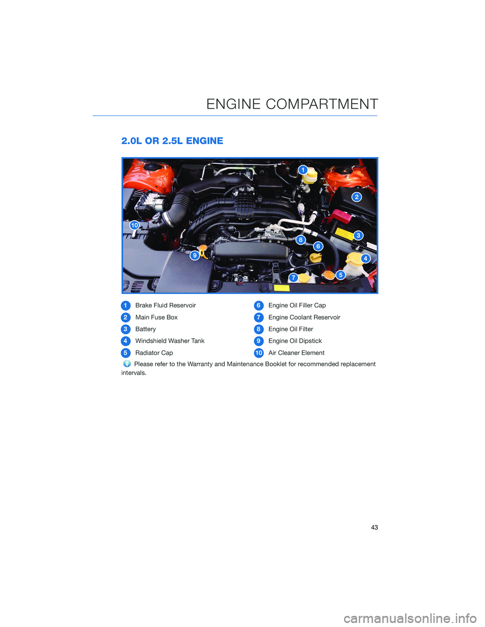 SUBARU CROSSTREK 2021 Getting Started Guide 2.0L OR 2.5L ENGINE
1Brake Fluid Reservoir
2Main Fuse Box
3Battery
4Windshield Washer Tank
5Radiator Cap6Engine Oil Filler Cap
7Engine Coolant Reservoir
8Engine Oil Filter
9Engine Oil Dipstick
10Air C SUBARU CROSSTREK 2021 Getting Started Guide 2.0L OR 2.5L ENGINE
1Brake Fluid Reservoir
2Main Fuse Box
3Battery
4Windshield Washer Tank
5Radiator Cap6Engine Oil Filler Cap
7Engine Coolant Reservoir
8Engine Oil Filter
9Engine Oil Dipstick
10Air C