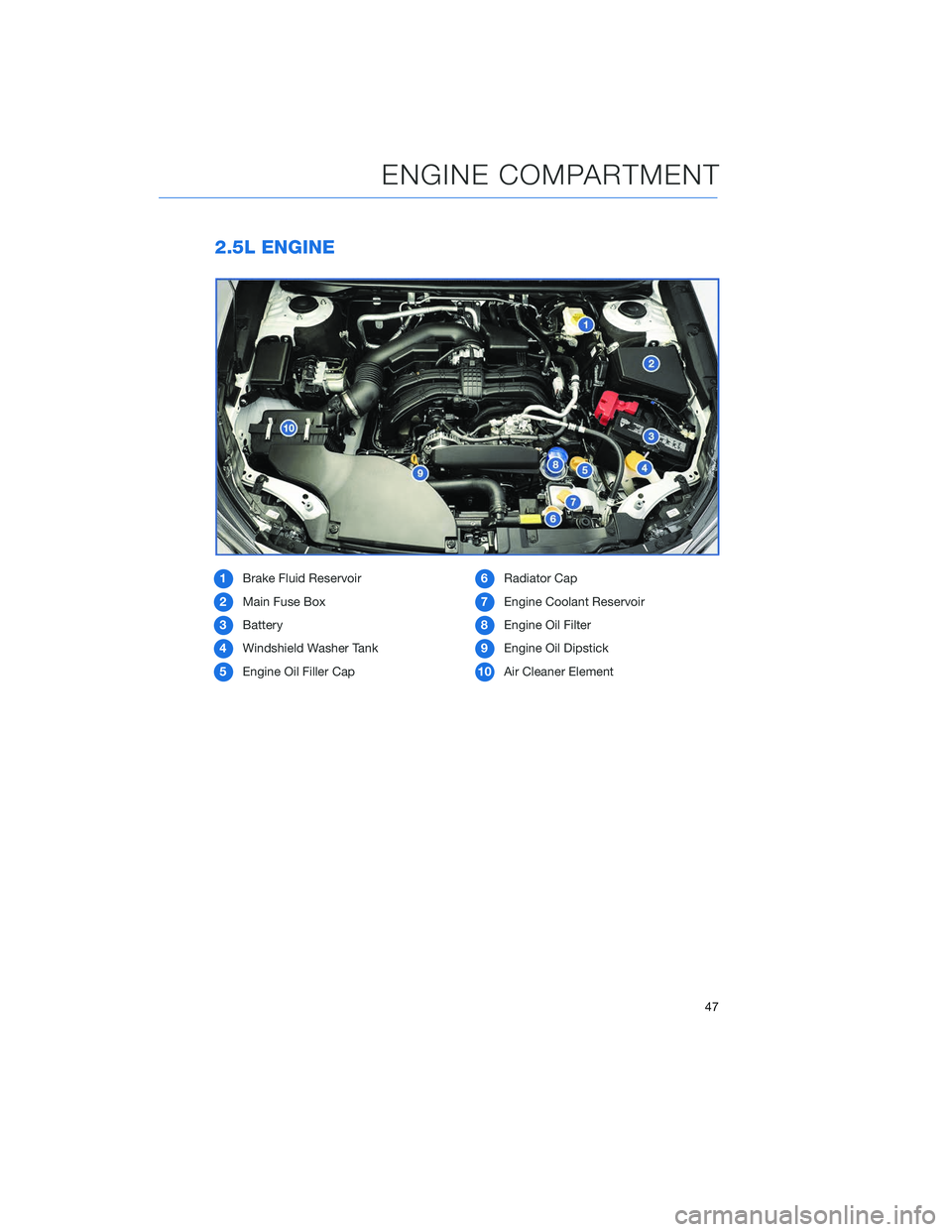 SUBARU OUTBACK 2020 Getting Started Guide 2.5L ENGINE
1Brake Fluid Reservoir
2 Main Fuse Box
3 Battery
4 Windshield Washer Tank
5 Engine Oil Filler Cap 6
Radiator Cap
7 Engine Coolant Reservoir
8 Engine Oil Filter
9 Engine Oil Dipstick
10 Air SUBARU OUTBACK 2020 Getting Started Guide 2.5L ENGINE
1Brake Fluid Reservoir
2 Main Fuse Box
3 Battery
4 Windshield Washer Tank
5 Engine Oil Filler Cap 6
Radiator Cap
7 Engine Coolant Reservoir
8 Engine Oil Filter
9 Engine Oil Dipstick
10 Air