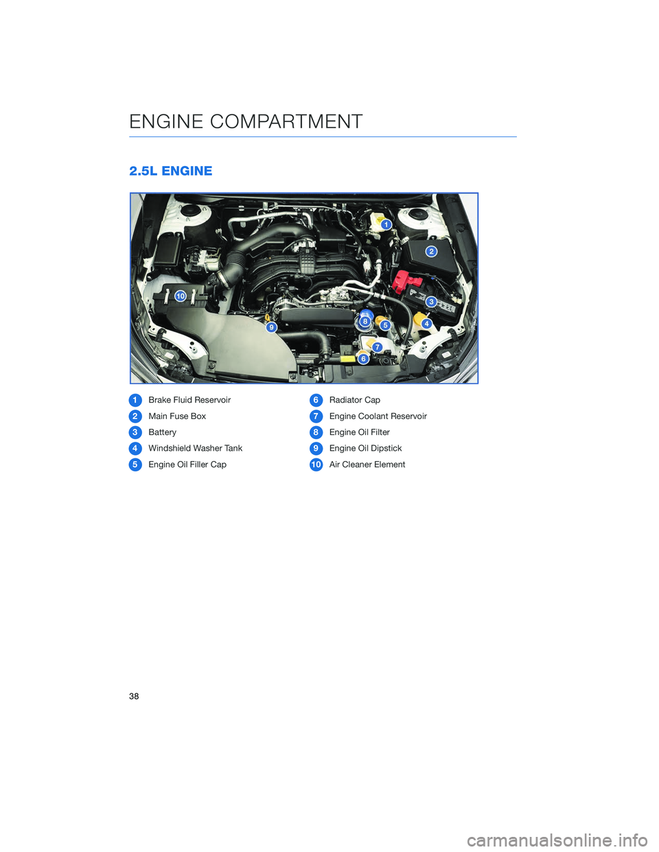 SUBARU LEGACY 2020 Getting Started Guide 2.5L ENGINE
1Brake Fluid Reservoir
2 Main Fuse Box
3 Battery
4 Windshield Washer Tank
5 Engine Oil Filler Cap 6
Radiator Cap
7 Engine Coolant Reservoir
8 Engine Oil Filter
9 Engine Oil Dipstick
10 Air SUBARU LEGACY 2020 Getting Started Guide 2.5L ENGINE
1Brake Fluid Reservoir
2 Main Fuse Box
3 Battery
4 Windshield Washer Tank
5 Engine Oil Filler Cap 6
Radiator Cap
7 Engine Coolant Reservoir
8 Engine Oil Filter
9 Engine Oil Dipstick
10 Air