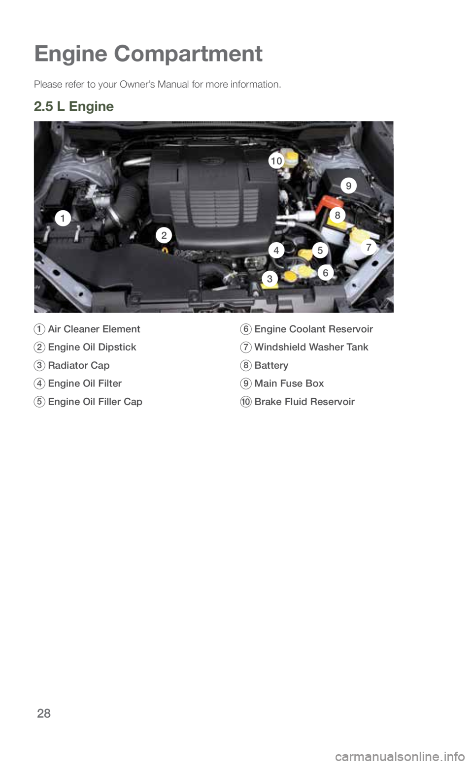 SUBARU FORESTER 2019 Quick Guide 28
Engine Compartment
Please refer to your Owner’s Manual for more information.
2.5 L Engine
1 Air Cleaner Element
2 Engine Oil Dipstick
3 Radiator Cap
4 Engine Oil Filter
5 Engine Oil Fill SUBARU FORESTER 2019 Quick Guide 28
Engine Compartment
Please refer to your Owner’s Manual for more information.
2.5 L Engine
1 Air Cleaner Element
2 Engine Oil Dipstick
3 Radiator Cap
4 Engine Oil Filter
5 Engine Oil Fill