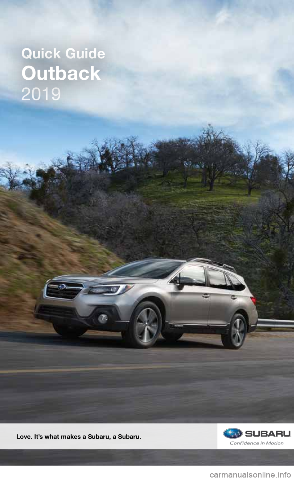 SUBARU OUTBACK 2019  Quick Guide 