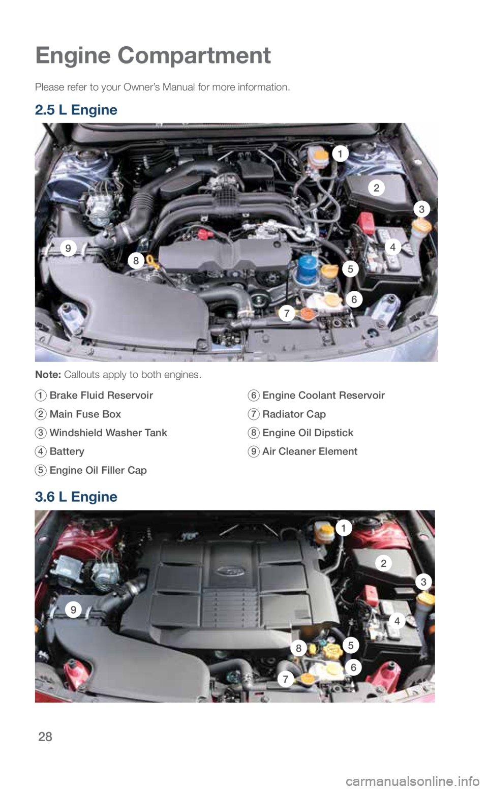 SUBARU OUTBACK 2019 Quick Guide 28
2
3
7
1
85
49
6
Engine Compartment
Please refer to your Owner’s Manual for more information.
2.5 L Engine
Note: Callouts apply to both engines.
1 Brake Fluid Reservoir
2 Main Fuse Box SUBARU OUTBACK 2019 Quick Guide 28
2
3
7
1
85
49
6
Engine Compartment
Please refer to your Owner’s Manual for more information.
2.5 L Engine
Note: Callouts apply to both engines.
1 Brake Fluid Reservoir
2 Main Fuse Box