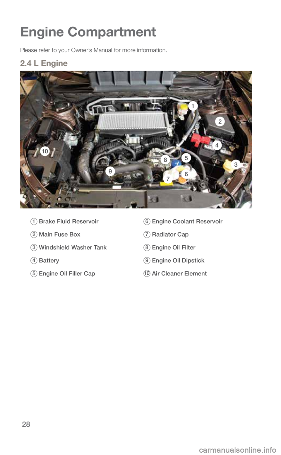 SUBARU ASCENT 2019 Quick Guide 28
Engine Compartment
Please refer to your Owner’s Manual for more information.
2.4 L Engine
2
7
35
4
6
1
9
8
1 Brake Fluid Reservoir
2 Main Fuse Box
3 Windshield Washer Tank
4 Ba SUBARU ASCENT 2019 Quick Guide 28
Engine Compartment
Please refer to your Owner’s Manual for more information.
2.4 L Engine
2
7
35
4
6
1
9
8
1 Brake Fluid Reservoir
2 Main Fuse Box
3 Windshield Washer Tank
4 Ba