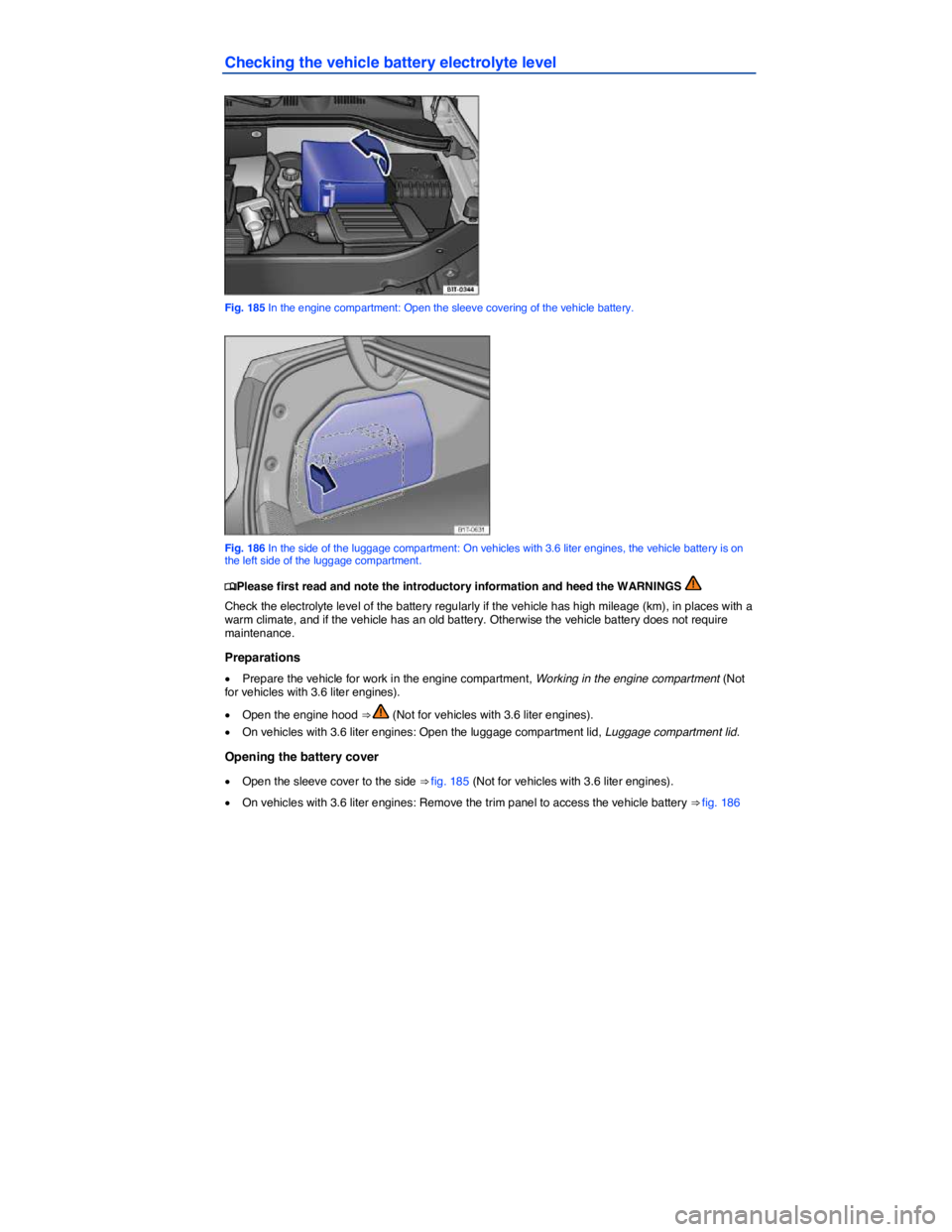 VOLKSWAGEN PASSAT 2014  Owner´s Manual  
Checking the vehicle battery electrolyte level 
 
Fig. 185 In the engine compartment: Open the sleeve covering of the vehicle battery. 
 
Fig. 186 In the side of the luggage compartment: On vehicles