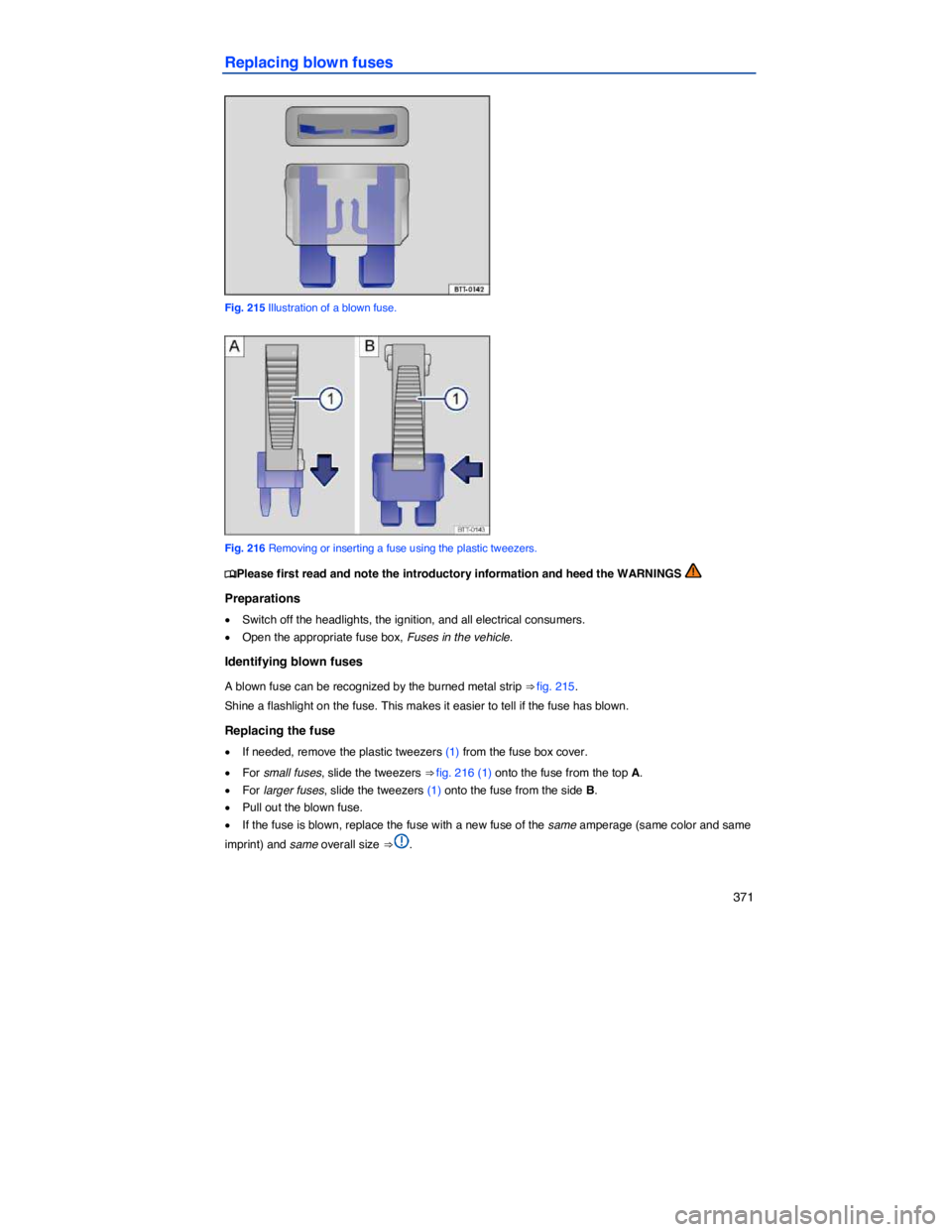 VOLKSWAGEN PASSAT 2010  Owners Manual    371 
Replacing blown fuses 
 
Fig. 215 Illustration of a blown fuse. 
 
Fig. 216 Removing or inserting a fuse using the plastic tweezers. 
�