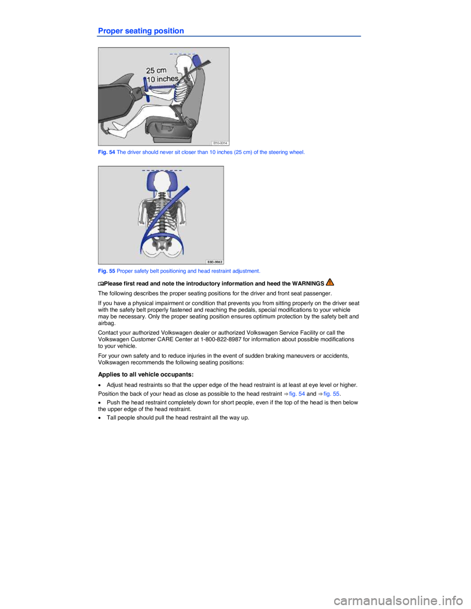 VOLKSWAGEN PASSAT 2009  Owners Manual  
Proper seating position 
 
Fig. 54 The driver should never sit closer than 10 inches (25 cm) of the steering wheel. 
 
Fig. 55 Proper safety belt positioning and head restraint adjustment. 
�